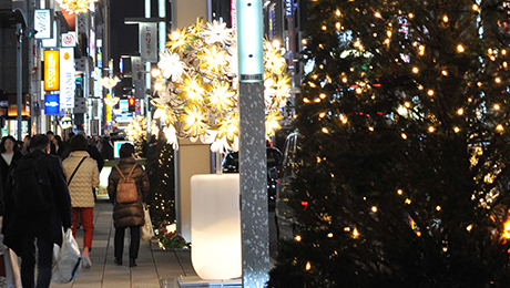 GINZA ILLUMINATION ヒカリミチ2016～光の庭園～