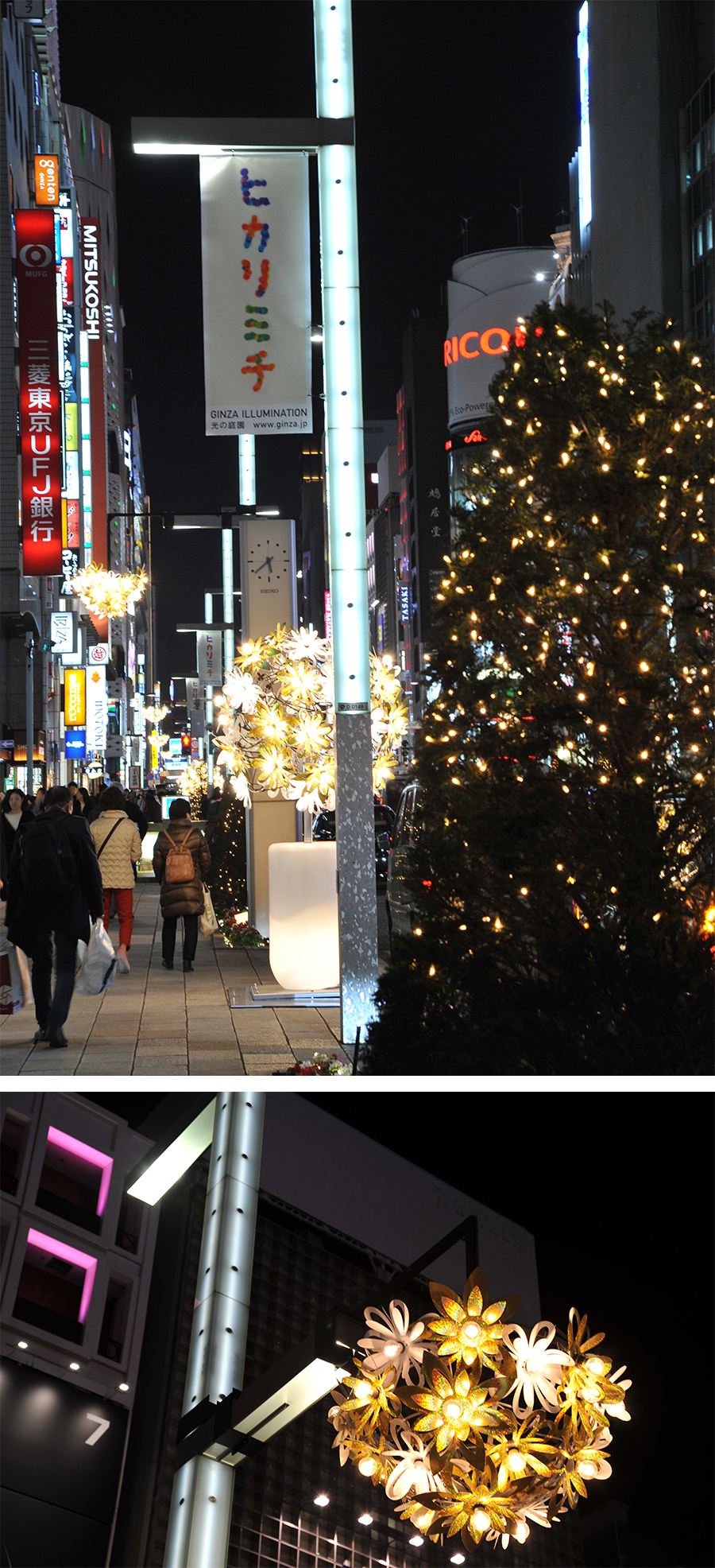 GINZA ILLUMINATION ヒカリミチ2016～光の庭園～